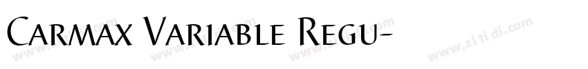 Carmax Variable Regu字体转换